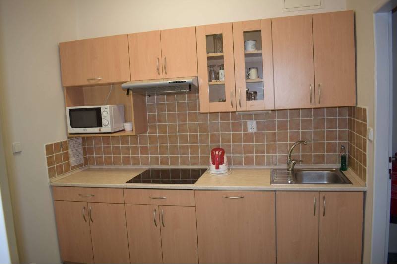 Apartmán č. 1 — kuchyňská linka s varnou deskou a mikrovlnnou troubou